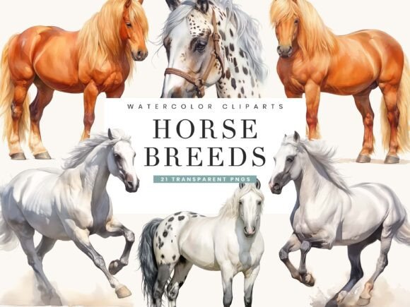 Download Watercolor Horse Breeds Clipart Bundle - Bundle Collection