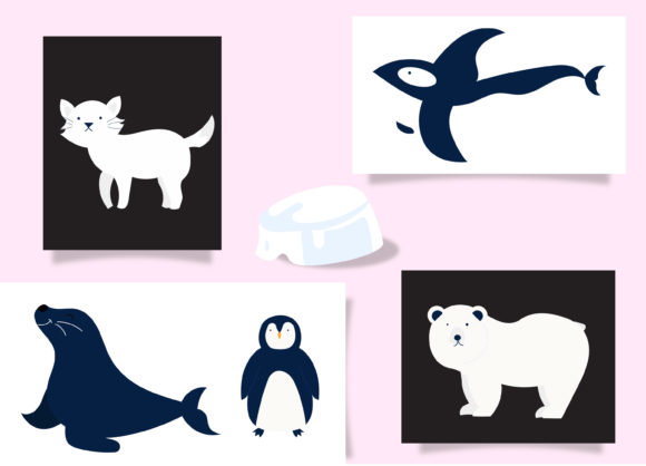 Download Arctic Animal Set Bundle&nbsp; - Bundle Collection