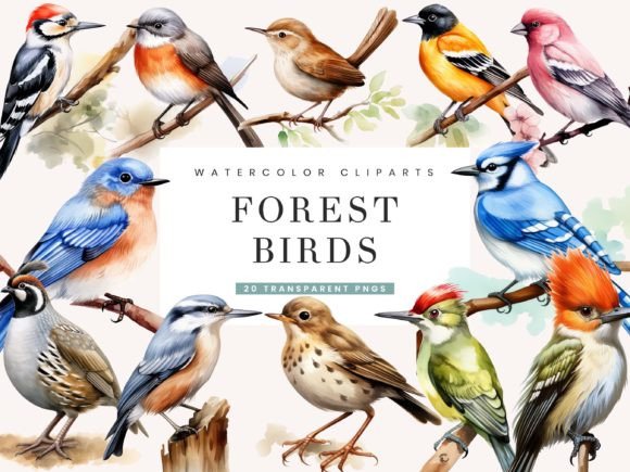 Download Watercolor Forest Birds Clipart Bundle - Bundle Collection