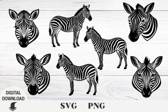Download Zebra Svg Bundle, Animals Svg, Safari - Bundle Collection