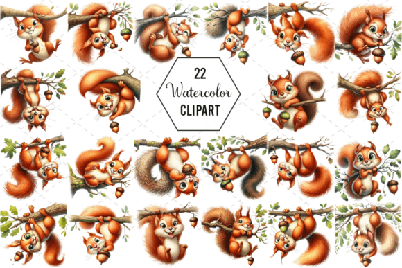 Download Silly Squirrel Watercolor Clipart Bundle - Bundle Collection